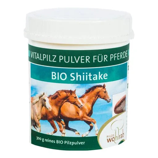 SHIITAKE ORGANIC medicinal mushroom powder for animals - UKDorf 