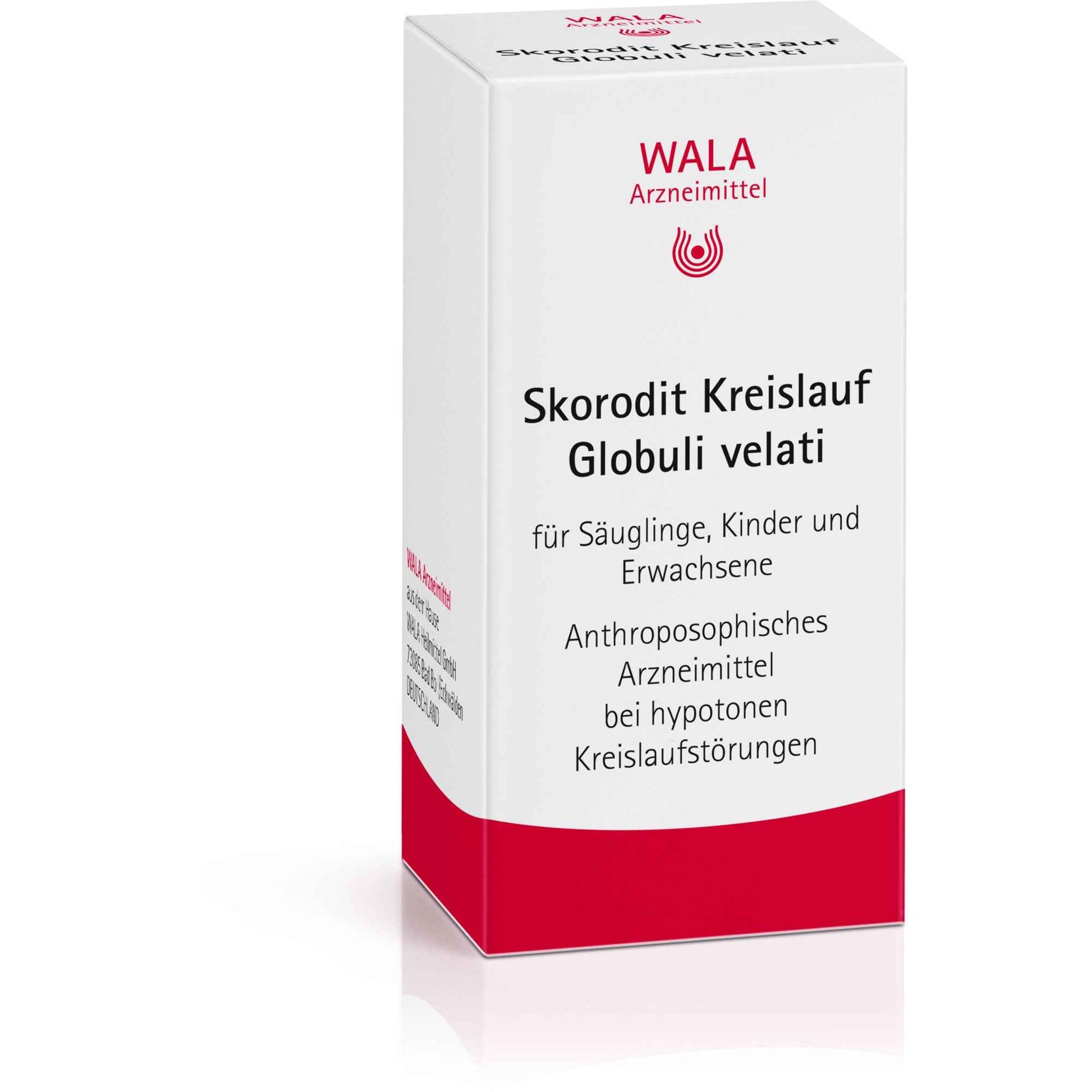 SKORODIT CIRCULATION Globules velati
