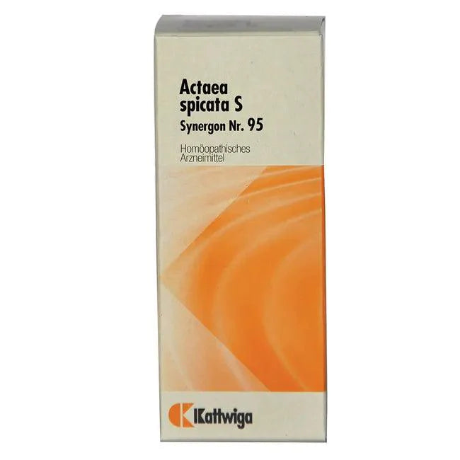 SYNERGON KOMPLEX 95 Actaea spicata S drops - UKDorf 