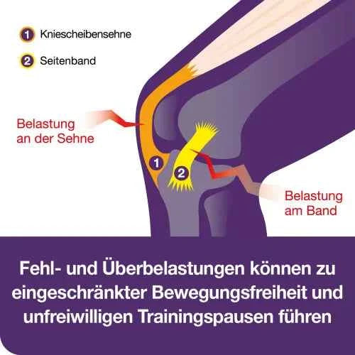 TENDOLOGES for tendons and ligaments, portion sticks