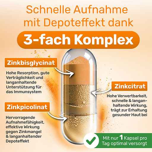 VEGAN Zinc Complex 25 mg High Dose Capsules 120 Capsules