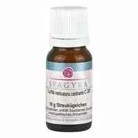 VESICA URINARIA D 15 globules 10 g