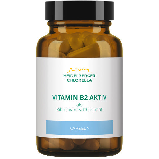 VITAMIN B2 ACTIVE capsules - UKDorf 