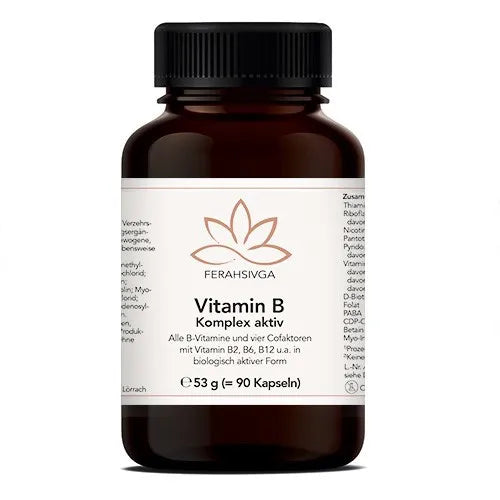 VITAMIN B COMPLEX active with 8 Vit. & 4 cofactors 90 pcs