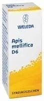 APIS MELLIFICA skin, homeopathy, inflammation of kidney, skin ailments UK