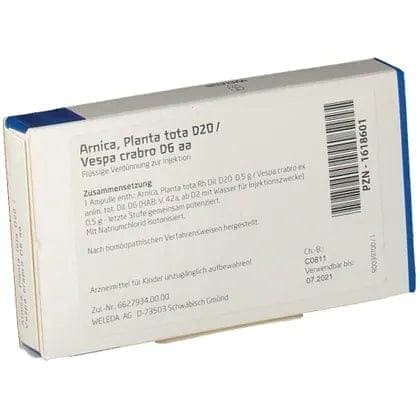 ARNICA PLANTA tota, Vespa Crabro ampoules, diseases of the musculoskeletal system - UKDorf 