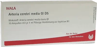 ARTERIA CEREBRI media GL D 5 ampoules - UKDorf 