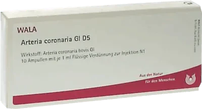 ARTERIA CORONARIA GL D 5 ampoules - UKDorf 