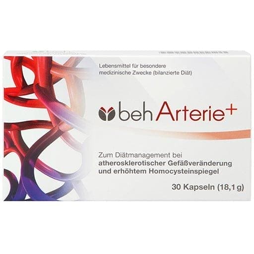 Atherosclerosis, BEH artery+ capsules - UKDorf 