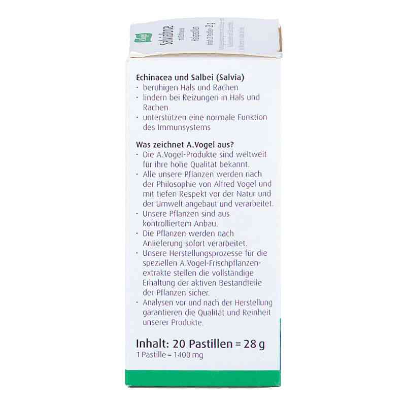 https://www.apo.com/images/product_images/info_images/avogel-salviaforce-mit-echinacea-halspastillen-20-stk-2-pzn-17882234.jpg