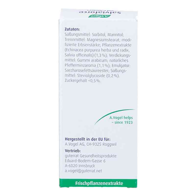 https://www.apo.com/images/product_images/info_images/avogel-salviaforce-mit-echinacea-halspastillen-20-stk-3-pzn-17882234.jpg