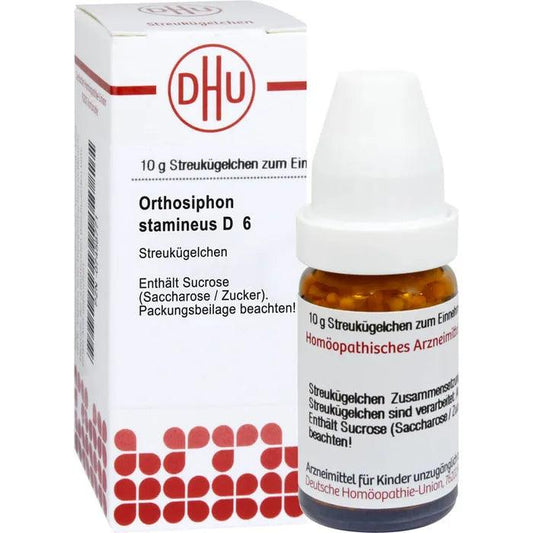 Bladder infection, overactive bladder, ORTHOSIPHON STAMINEUS - UKDorf 
