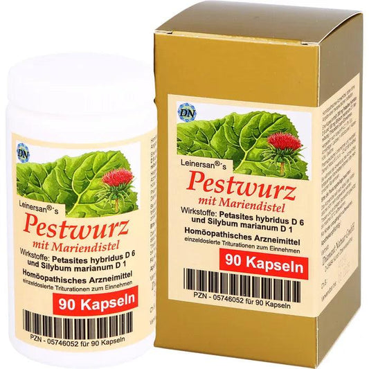 Butterbur with milk thistle capsules, butterbur migraine, petasites hybridus - UKDorf 