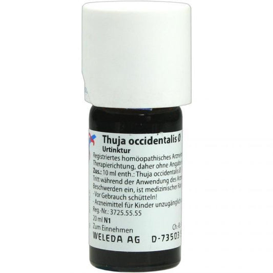 Cancer, intestinal worms, fungal infections, THUJA OCCIDENTALIS mother tincture - UKDorf 