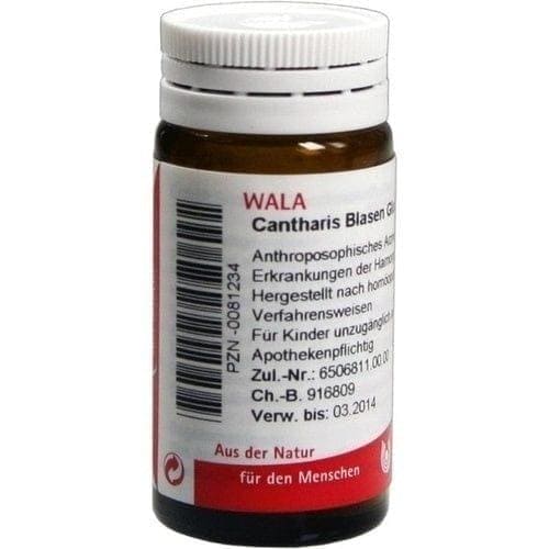 CANTHARIS BLADDER, chronic inflammation of the bladder, renal pelvis - UKDorf 