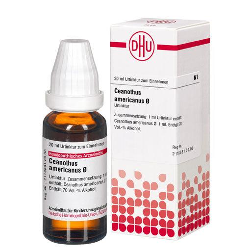 CEANOTHUS AMERICANUS mother tincture - UKDorf 