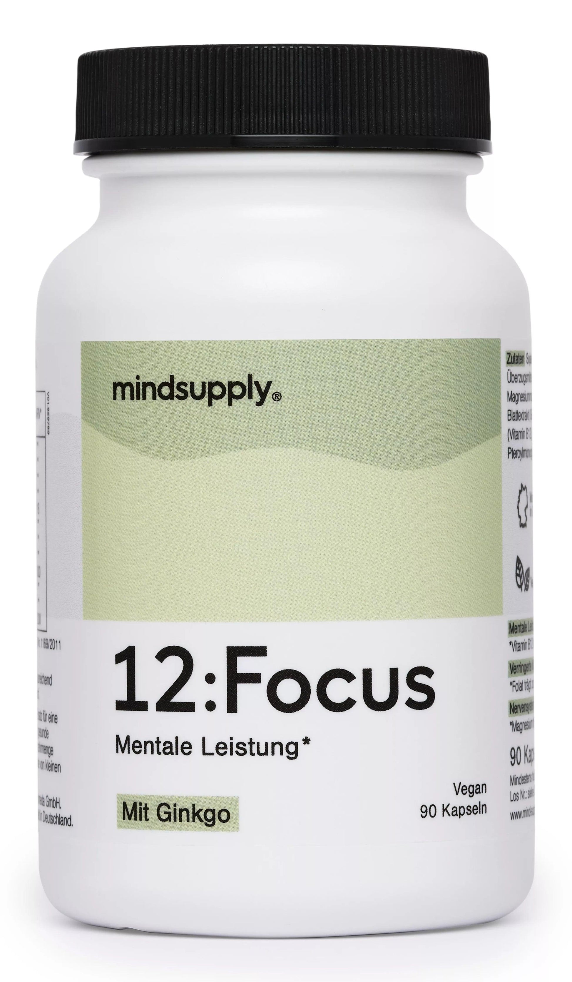 Concentration with ginkgo, MINDSUPPLY 12, FOCUS 90 capsules (55,3G) - UKDorf 