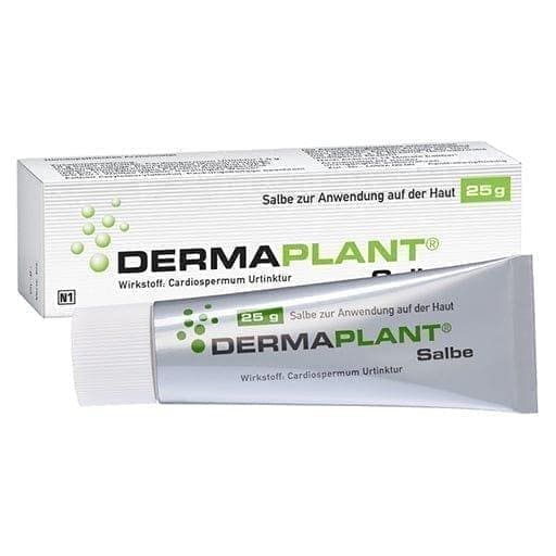 Endogenous eczema treatment, herbs for neurodermatitis, DERMAPLANT ointment - UKDorf 