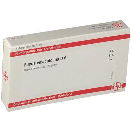 FUCUS VESICULOSUS D 6 ampoules - UKDorf 