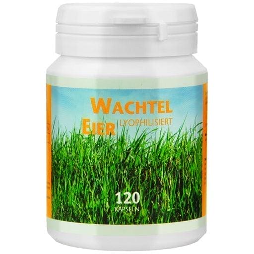 Glycoprotein, glycoproteins, QUAIL EGG lyophilized capsules - UKDorf 