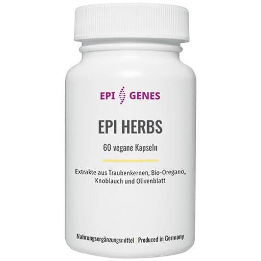 Grapefruit seed, oregano leaf, (Oreganum vulgare), allicilin (garlic), HERBS capsules - UKDorf 