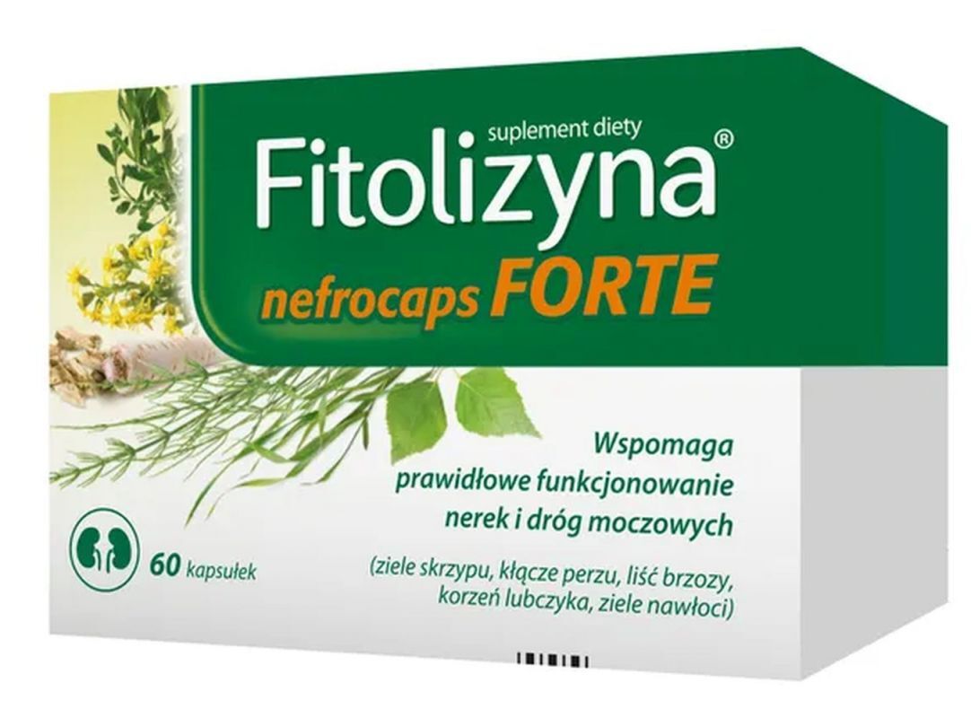 healthy kidney Phytolysin Nefrocaps Forte 60 capsules