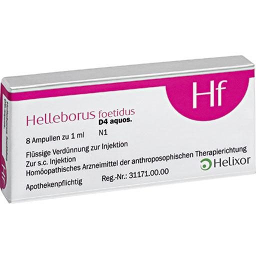 HELLEBORUS FOETIDUS aquos. D 4 ampoules - UKDorf 