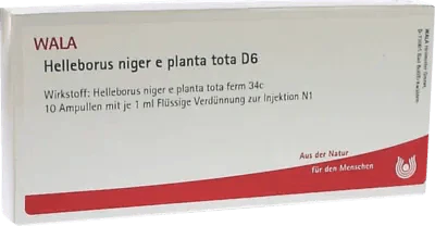 HELLEBORUS NIGER e planta tota D 6 ampoules - UKDorf 