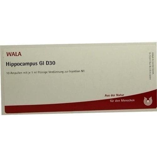 HIPPOCAMPUS ampoules, HIPPOCAMPUS supplements, hippocampus brain - UKDorf 