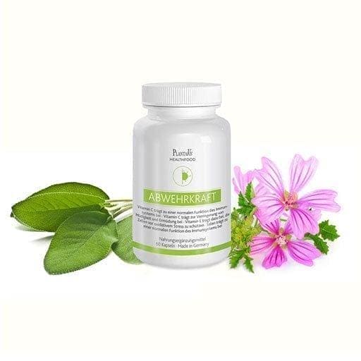 Horseradish, Iceland Moss, Reishi, Olive Leaf, Licorice Root DEFENSE Capsules - UKDorf 