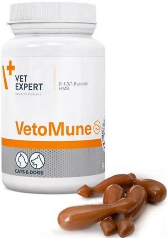 How to increase a dog's immune system, cats, VetoMune - UKDorf 
