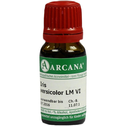 IRIS VERSICOLOR LM 6 Dilution - UKDorf 