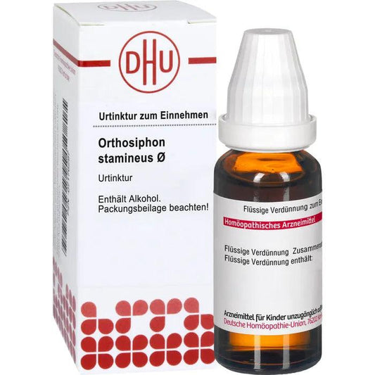 Kidney, bladder inflammation, gout, diabetes, ORTHOSIPHON STAMINEUS - UKDorf 