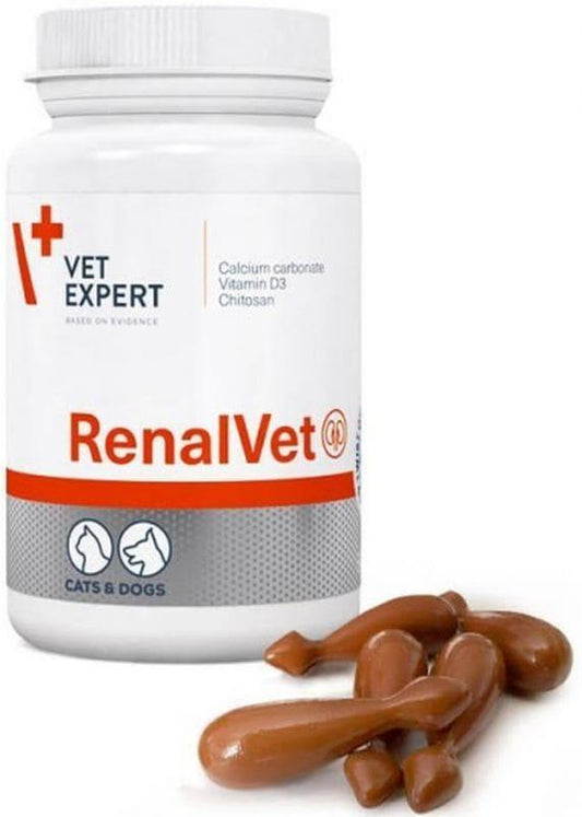 Kidney problems in dogs, cats, RenalVet - UKDorf 
