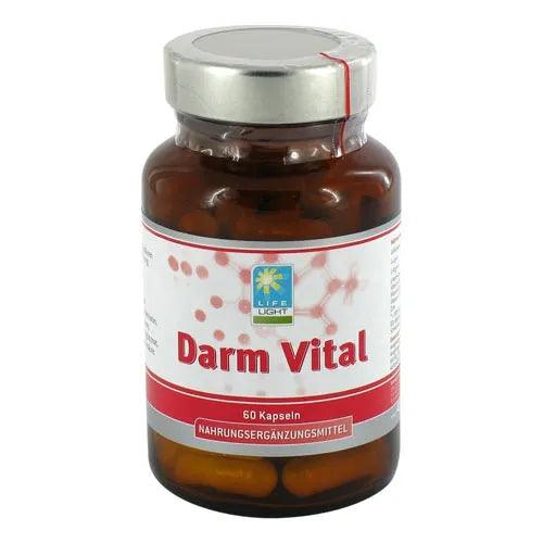 L-glutamin, L-lysine, L-arginine, L-Methionine, Gut Vital - UKDorf 