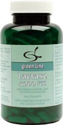 Lactose intolerance symptoms, LACTASE 4,000 FCC Capsules - UKDorf 