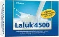 LALUK 4500 capsules, enzyme lactase to support lactose digestion - UKDorf 