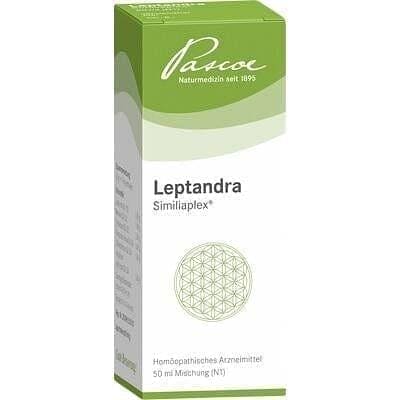 LEPTANDRA, Veronicastrum virginicum, Berberis vulgaris UK