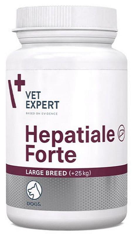 Liver disease in large dogs, cats, Hepatiale Forte Large Breed - UKDorf 