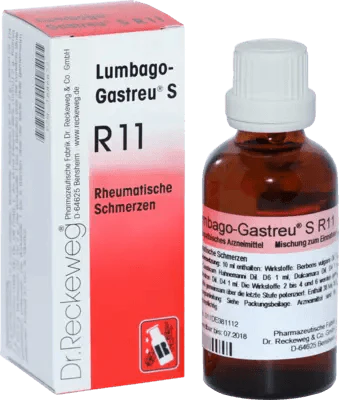 Lower back pain, Rheumatic pain, rheumatism, Osteoarthritis, LUMBAGO-GASTREU S R11 mixture - UKDorf 