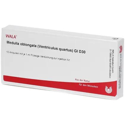 MEDULLA OBLONGATA Ventriculus quartus GL D 30 Ampoules - UKDorf 