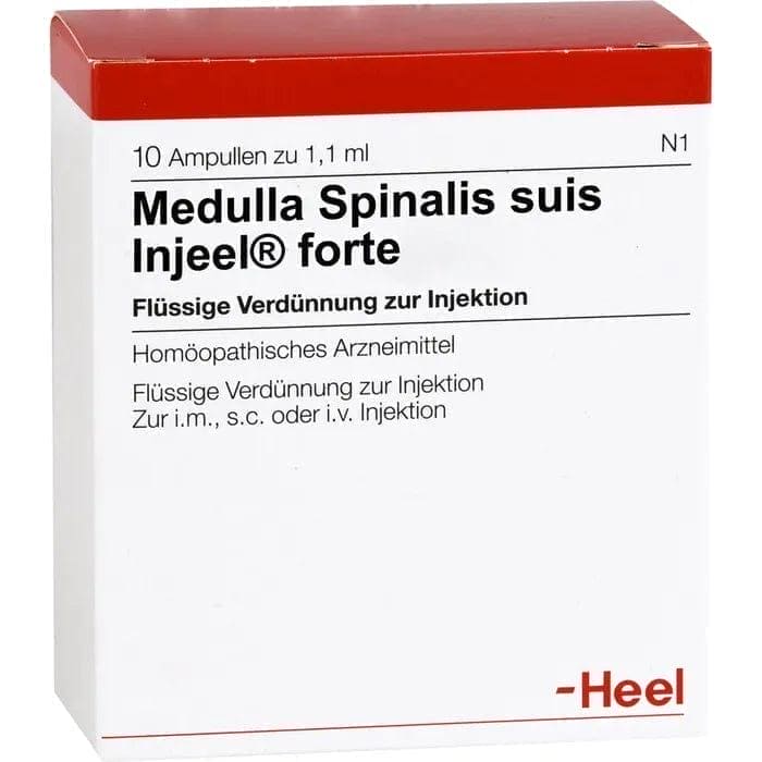 MEDULLA SPINALIS, Multiple sclerosis, amyotrophic lateral sclerosis - UKDorf 