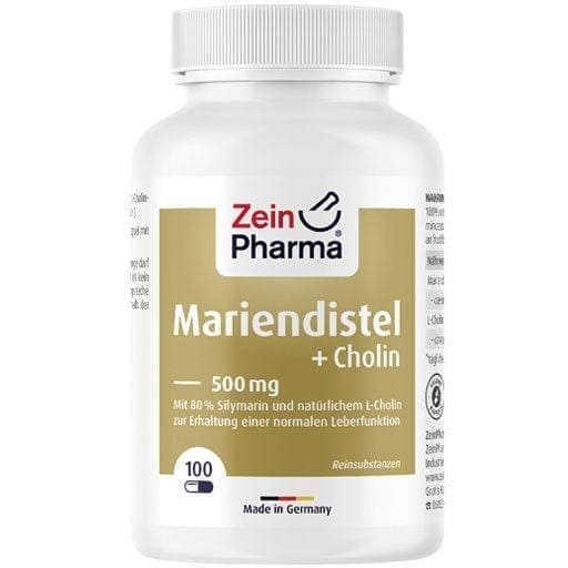 Milk thistle, choline capsules, 80% Silymarin - UKDorf 