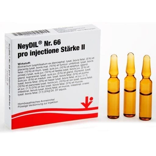 NEYDIL No.66 per injectione St.2 ampoules - UKDorf 