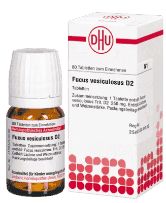 Obesity, aging skin, constipation, FUCUS VESICULOSUS D 2 tablets - UKDorf 