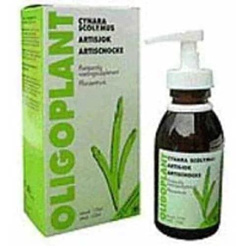 OLIGOPLANT Cynara Scolymus Artichoke - UKDorf 