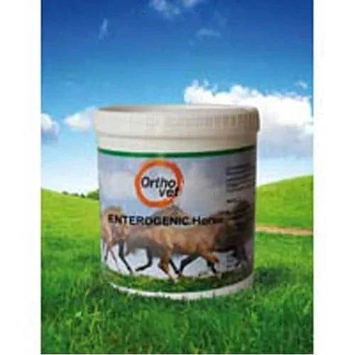 ORTHOVET Enterogenic Horse, Horses intestinal activity, normal digestive UK