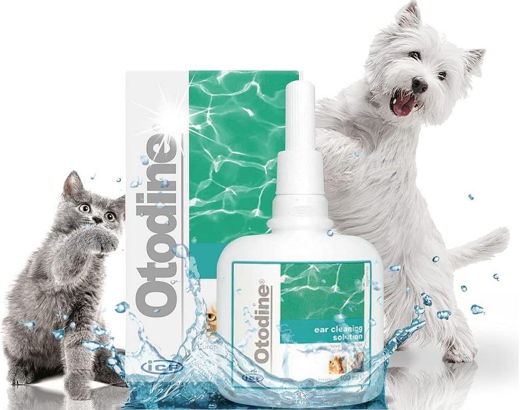 Otodine 100 ml, Medicinal preparation for the ears of dogs and cats - UKDorf 