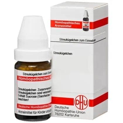 PANAX GINSENG D 6 globules - UKDorf 