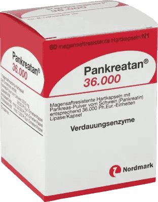 Pancreatin enzyme, enzymes PANKREATAN 36,000 - UKDorf 